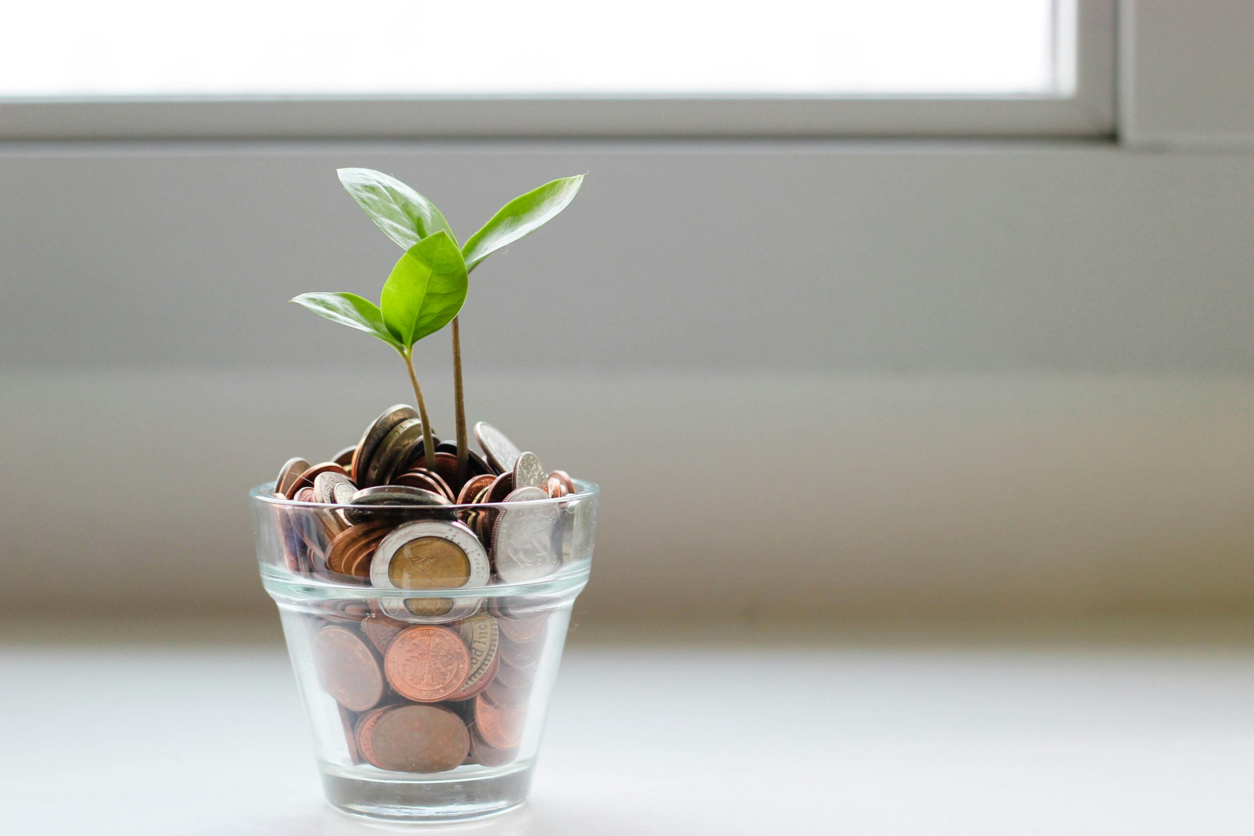 NEWSLETTER: RAISING MONEY (JUN 2025)