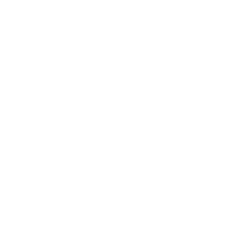 capital-one-copy